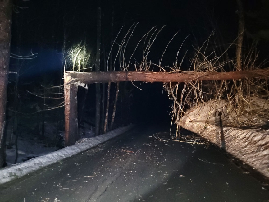 Widowmakers: Safely Managing Hung-Up Trees in Public Works Operations